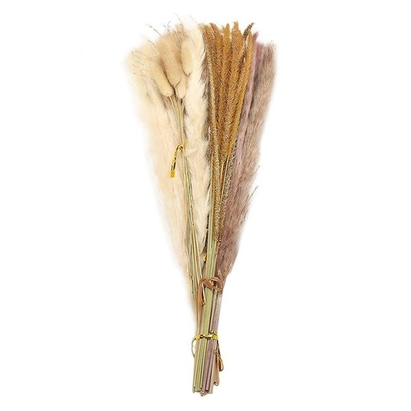 decorative flowers & wreaths 65 pcs pampas grass,large fluffy artificial grass decor tall,non shedding boho natural dried for wedding
decorative flowers & wreaths 65 pcs pampas grass,large fluffy artificial grass decor tall,non shedding boho natural dried for wedding