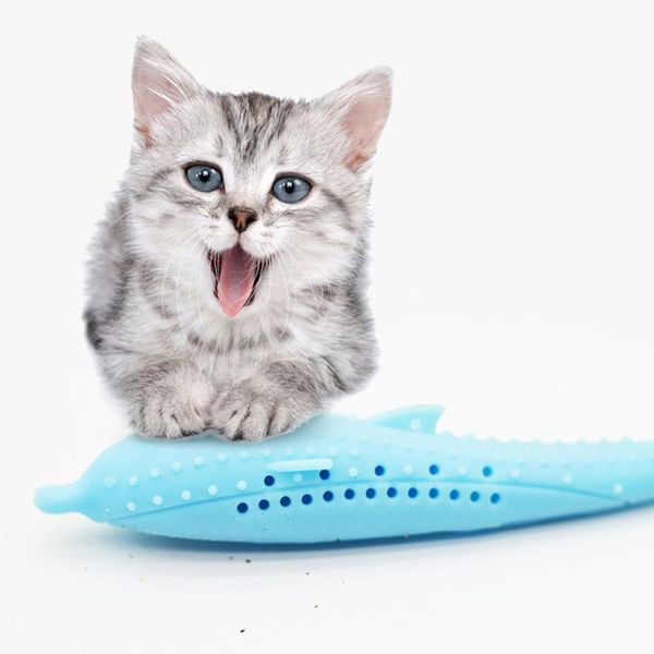 cat toys 1pcs silicone catnip simulation fish shape pet chew funny interactive plush toy clean teeth toothbrush
cat toys 1pcs silicone catnip simulation fish shape pet chew funny interactive plush toy clean teeth toothbrush