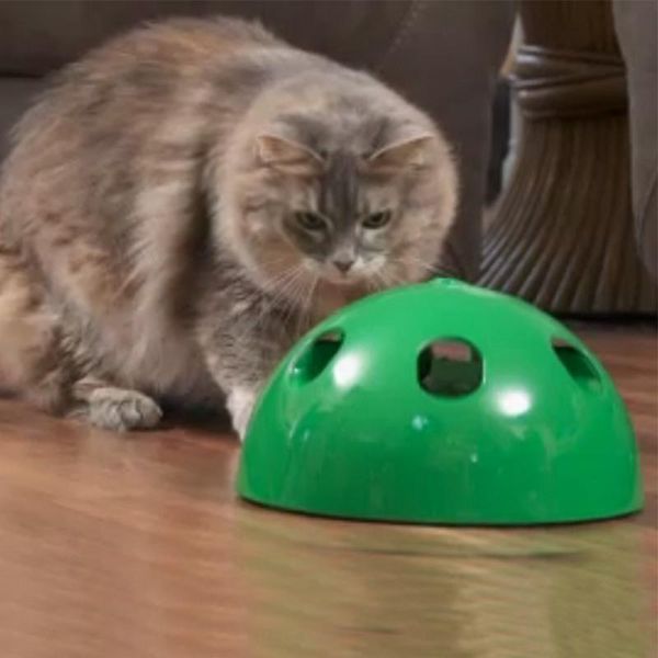 styles cat toys interactive with running mice and scratching pad durable safe kitten game exercise funny
styles cat toys interactive with running mice and scratching pad durable safe kitten game exercise funny