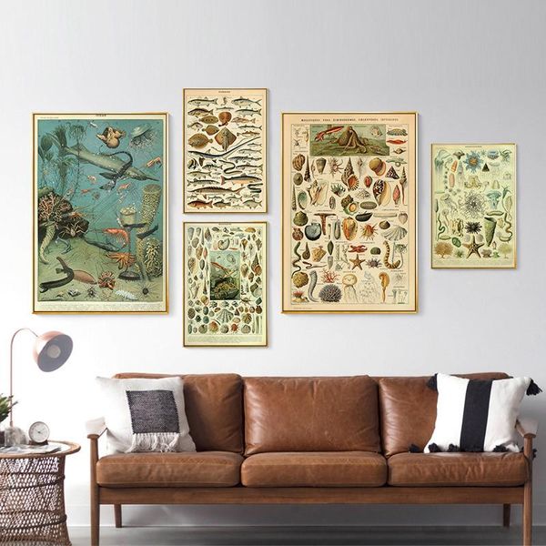 paintings vintage marine life poster seashell fish painting identification canvas wall art for kid's living room bedroom home decoratio
paintings vintage marine life poster seashell fish painting identification canvas wall art for kid's living room bedroom home decoratio