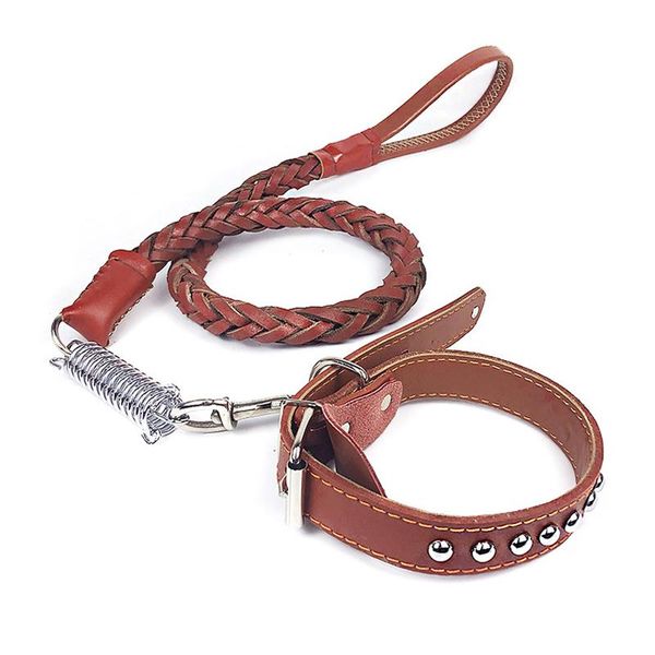 medium large dog spring collar leash durable training harness leashes set pet outdoor adjustable lead dogs accessories collars &
medium large dog spring collar leash durable training harness leashes set pet outdoor adjustable lead dogs accessories collars &
