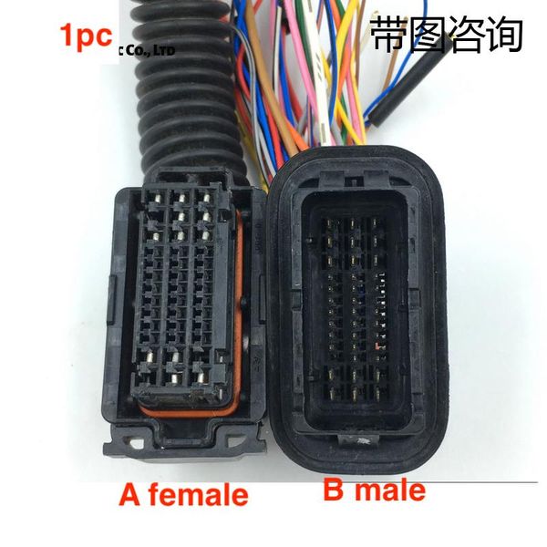 other lighting system 1pc for lafesta elantra mistra verna car door body wiring harness connection plug cable
other lighting system 1pc for lafesta elantra mistra verna car door body wiring harness connection plug cable