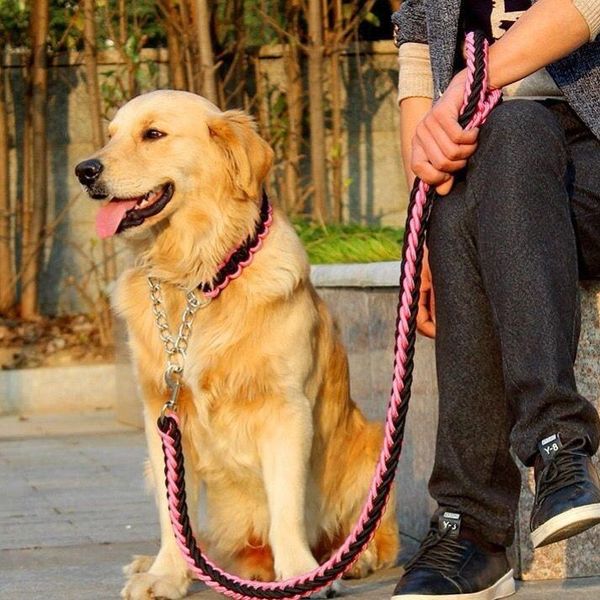 dog collars & leashes walking leash traction rope chain small medium large golden retriever two halabrador
dog collars & leashes walking leash traction rope chain small medium large golden retriever two halabrador