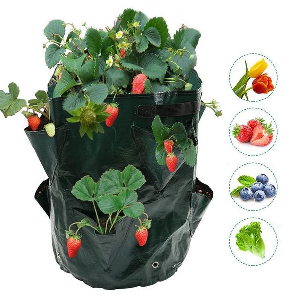 strawberry tomato planting bags multi-mouth pe grow bag 5/7/10 gallons reusable gardens balconies flower planter container planters & p pots
strawberry tomato planting bags multi-mouth pe grow bag 5/7/10 gallons reusable gardens balconies flower planter container planters & p pots