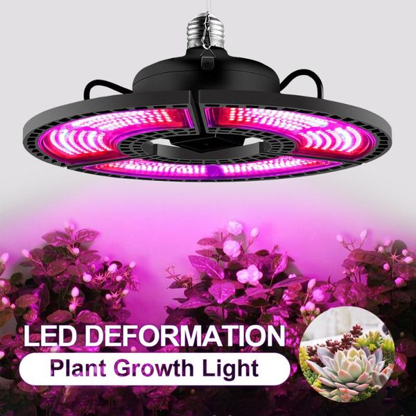 lamp plant red and blue spectrum folding light e27 led grow greenhouse waterproof seedling planting lights
lamp plant red and blue spectrum folding light e27 led grow greenhouse waterproof seedling planting lights