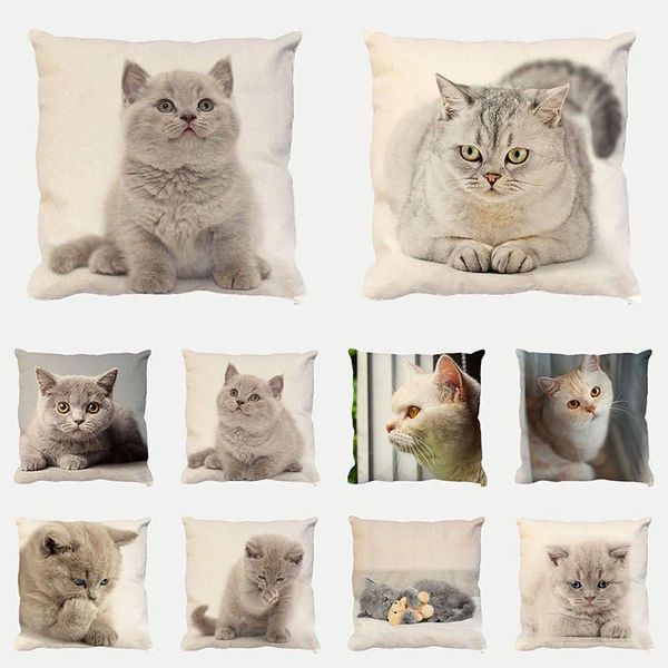 cushion/decorative pillow 45x45cm cat cushion cover cute animal pillowcase kids room decorative throw for sofa bedroom 1735
cushion/decorative pillow 45x45cm cat cushion cover cute animal pillowcase kids room decorative throw for sofa bedroom 1735