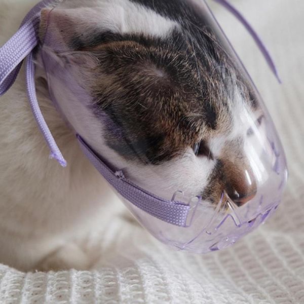 cat costumes head muzzle sturdy pet muzzles wear-resistant pattern useful lightweight anti-bite mouth cover
cat costumes head muzzle sturdy pet muzzles wear-resistant pattern useful lightweight anti-bite mouth cover