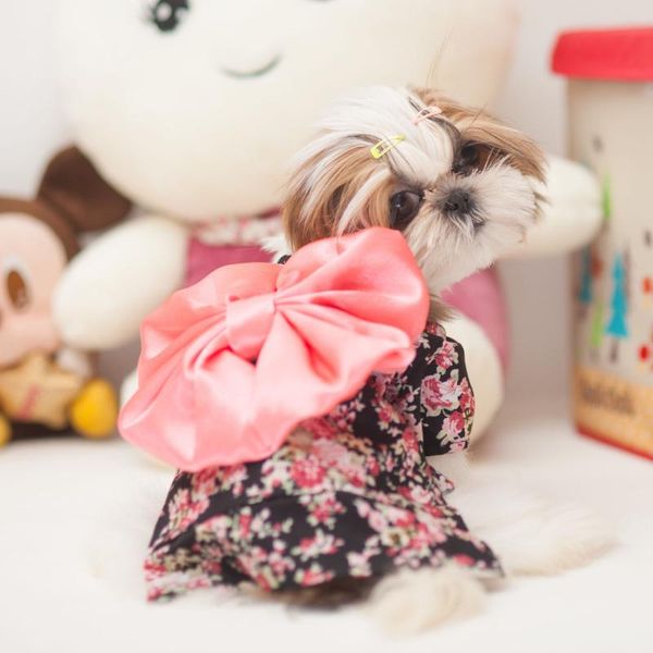 floral print dog dress with big bows on back pets kimono janpan clothes xs-xl pink black cat costumes
floral print dog dress with big bows on back pets kimono janpan clothes xs-xl pink black cat costumes