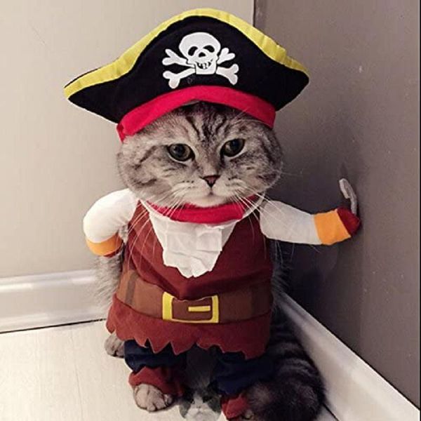 cat costumes pet costume funny dog dress up clothes cosplay kitten puppy small medium chihuahua teddy pug christmas outfit suit uniform
cat costumes pet costume funny dog dress up clothes cosplay kitten puppy small medium chihuahua teddy pug christmas outfit suit uniform