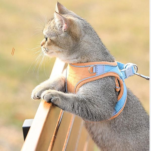cat collars & leads accessories vest harness reflective collar walking leash set soft handle adjustable chest puppy kitten small dogs
cat collars & leads accessories vest harness reflective collar walking leash set soft handle adjustable chest puppy kitten small dogs