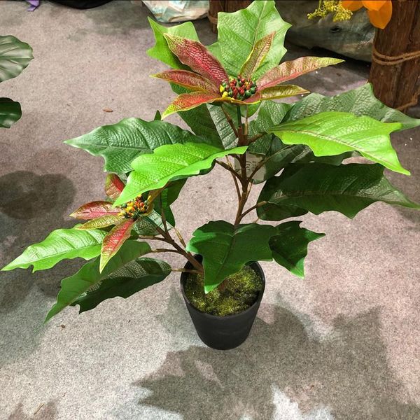 decorative flowers & wreaths 65cm artificial tropical christmas flower plant branch plastic ivoryred fake green shrub indoor potted home gar
decorative flowers & wreaths 65cm artificial tropical christmas flower plant branch plastic ivoryred fake green shrub indoor potted home gar