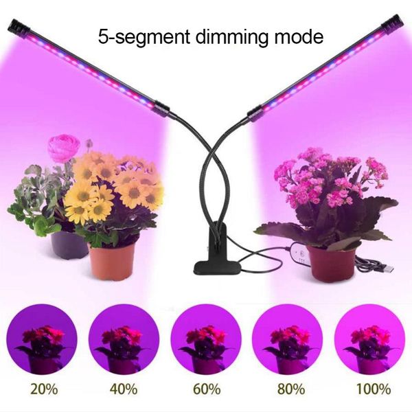 led grow light full spectrum timing dimmer phyto lamp for seedling indoor vegetable flower plants tent box fitolampy lights
led grow light full spectrum timing dimmer phyto lamp for seedling indoor vegetable flower plants tent box fitolampy lights