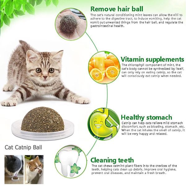 1pcs catnip matatabi ball,100% organic pet cat safe treat ball, molar cleaning teeth natural toys
1pcs catnip matatabi ball,100% organic pet cat safe treat ball, molar cleaning teeth natural toys