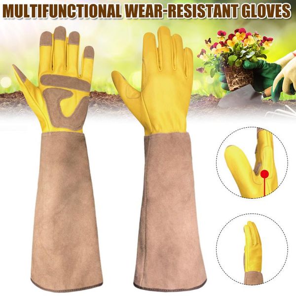disposable gloves long gardening rose pruning thorn proof garden with forearm protection gauntlets can csv
disposable gloves long gardening rose pruning thorn proof garden with forearm protection gauntlets can csv