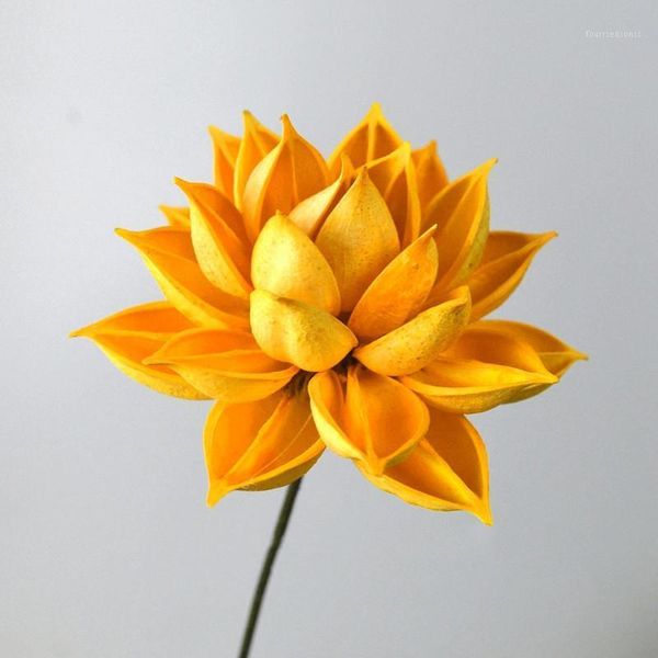 decorative flowers & wreaths natural dried lotus root eternal flower diy manual aesthetic wedding living room decoration christmas accessori
decorative flowers & wreaths natural dried lotus root eternal flower diy manual aesthetic wedding living room decoration christmas accessori