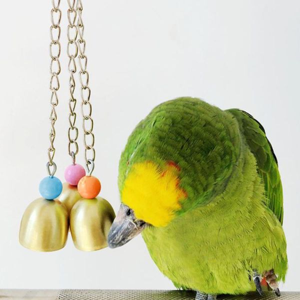 other bird supplies steel bell cage toy parrot squirrel funny chain swing pet little toys
other bird supplies steel bell cage toy parrot squirrel funny chain swing pet little toys