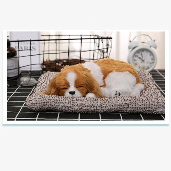 activated carbon simulation animal decoration plush for car home office (beagle puppy) interior decorations
activated carbon simulation animal decoration plush for car home office (beagle puppy) interior decorations