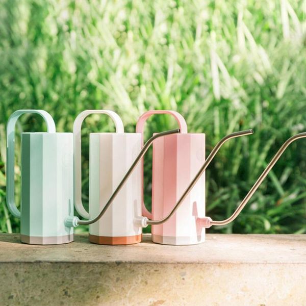 watering equipments long spout plant can small water pot for outdoor indoor flowers cactus airplants house plants
watering equipments long spout plant can small water pot for outdoor indoor flowers cactus airplants house plants