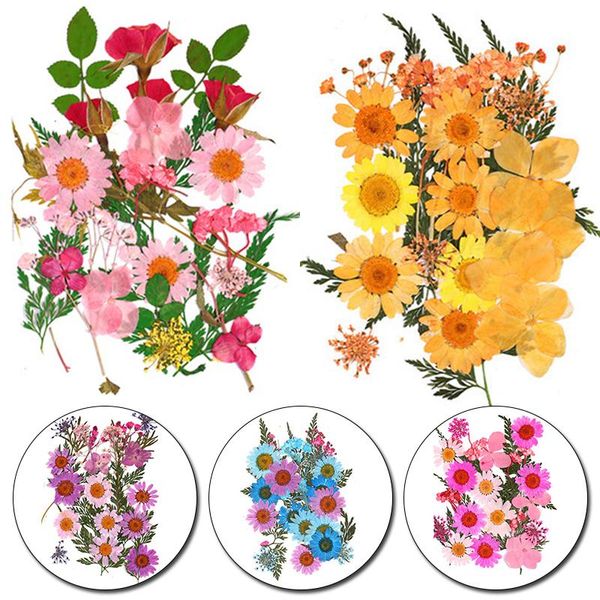 decorative flowers & wreaths 1set/lot diy dried flower embossing material wrapped bookmark glue mobile phone case embossed plant specimen
decorative flowers & wreaths 1set/lot diy dried flower embossing material wrapped bookmark glue mobile phone case embossed plant specimen