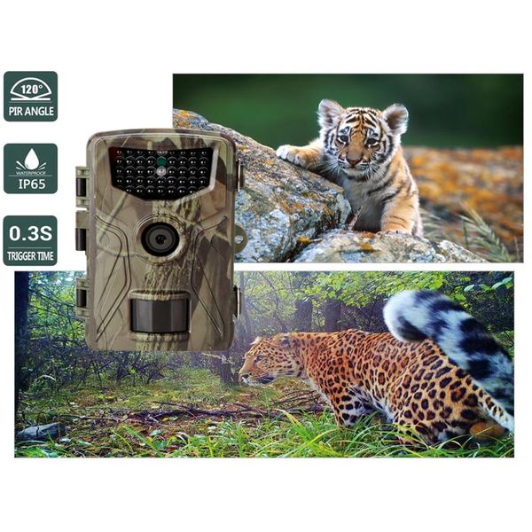 hunting trail camera wildlife night vision cameras hc804a 1080p 20mp wild wireless tracking surveillance cam po trap camcorders
hunting trail camera wildlife night vision cameras hc804a 1080p 20mp wild wireless tracking surveillance cam po trap camcorders