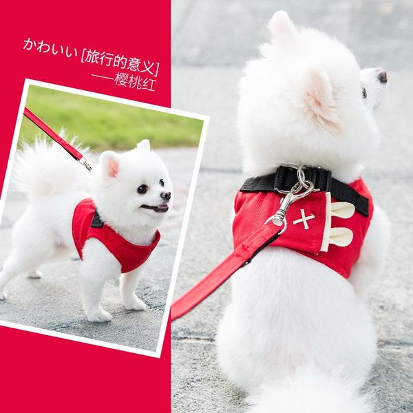 dog leash and collar set puppy harness mascotas perros accesorios akcesoria dla psa vest-style pet chest strap mesh fashion 2021 collars & l
dog leash and collar set puppy harness mascotas perros accesorios akcesoria dla psa vest-style pet chest strap mesh fashion 2021 collars & l