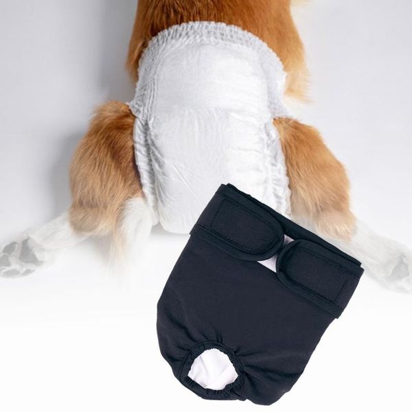 dog apparel diapers physiological pants washable female shorts soft girl dogs pets underwear sanitary panties leakproof
dog apparel diapers physiological pants washable female shorts soft girl dogs pets underwear sanitary panties leakproof