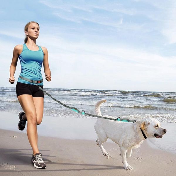 dog collars & leashes lead hand waist size adjustable waterproof nylon elasticity leash 2.5x160cm
dog collars & leashes lead hand waist size adjustable waterproof nylon elasticity leash 2.5x160cm