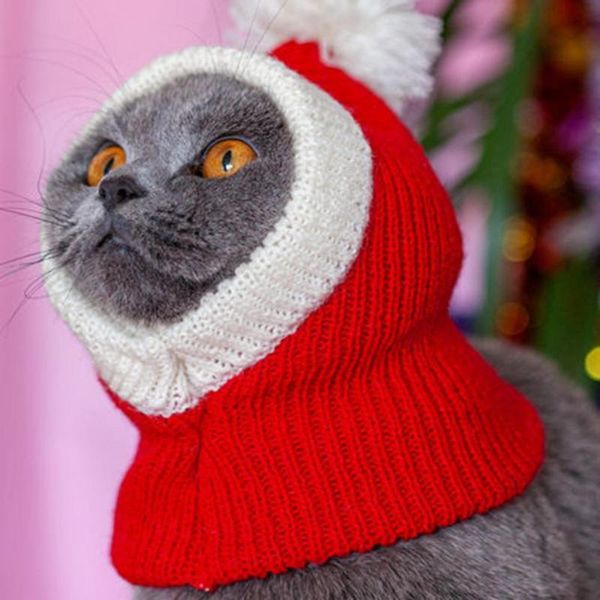 cat costumes windproof dress up kitten soft winter hat for christmas xmas pet warm cats scarf hats pets costume accessories
cat costumes windproof dress up kitten soft winter hat for christmas xmas pet warm cats scarf hats pets costume accessories