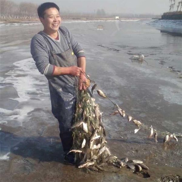 fishing accessories 3 layers net monofilament gill network with float outdoor sport fish gillnet trap gear rede de pesca
fishing accessories 3 layers net monofilament gill network with float outdoor sport fish gillnet trap gear rede de pesca
