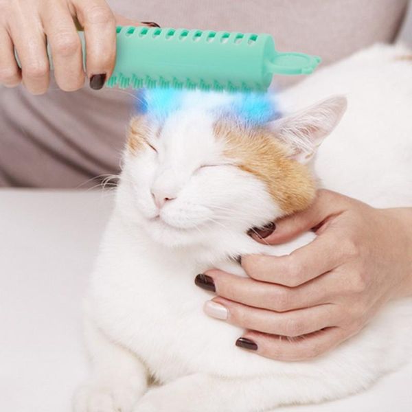 multi-purpose dog cat comb brush pet hair for puppy small sterilization massage beauty grooming tool beds & furniture
multi-purpose dog cat comb brush pet hair for puppy small sterilization massage beauty grooming tool beds & furniture