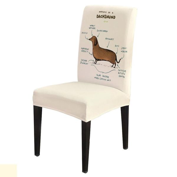 anatomy of a dachshund dog chair covers wedding party decor dining spandex elastic printing
anatomy of a dachshund dog chair covers wedding party decor dining spandex elastic printing
