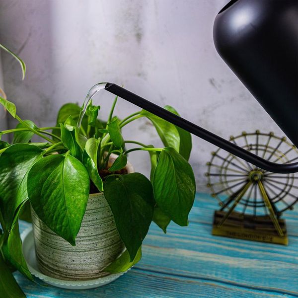watering equipments 1.5l large-capacity retro golden stainless steel long-mouth can for indoor and outdoor potted plants ki
watering equipments 1.5l large-capacity retro golden stainless steel long-mouth can for indoor and outdoor potted plants ki