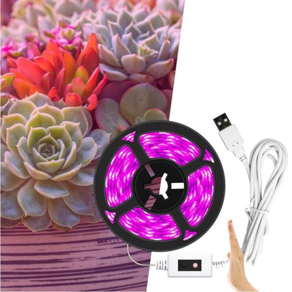grow light full spectrum growing lamp hand sweep switch plant for greenhouse hydroponic box lights
grow light full spectrum growing lamp hand sweep switch plant for greenhouse hydroponic box lights
