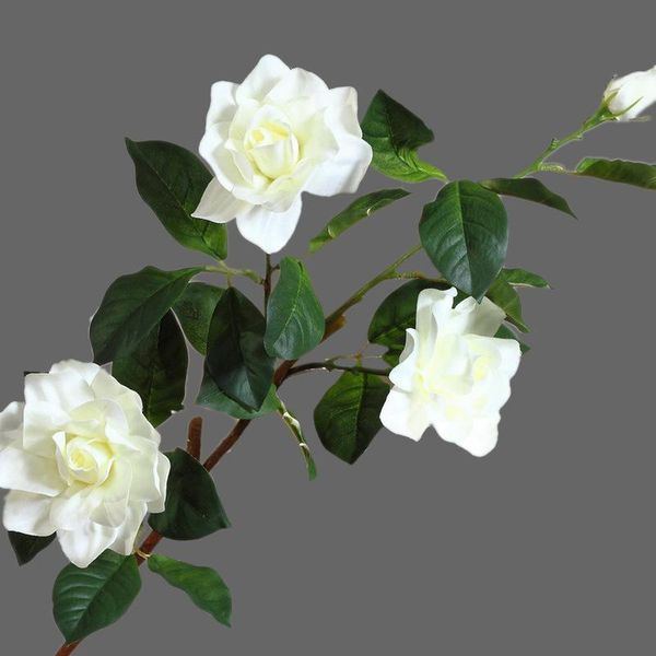 imitation flowers silk flower dried home living room table entrance arrangement floral artificial gardenia branch decorative & wreaths
imitation flowers silk flower dried home living room table entrance arrangement floral artificial gardenia branch decorative & wreaths