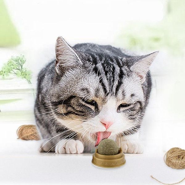 pet toys healthy cat spin ball edible energy clean teeth catnip increase appetite accessories
pet toys healthy cat spin ball edible energy clean teeth catnip increase appetite accessories