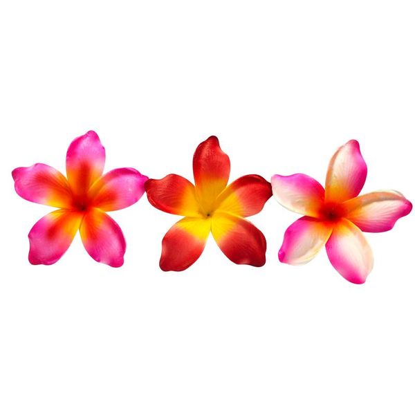 decorative flowers & wreaths 10pcs/set wedding hawaii party summer diy decorations artificial hula girls favor hair decoration flower
decorative flowers & wreaths 10pcs/set wedding hawaii party summer diy decorations artificial hula girls favor hair decoration flower