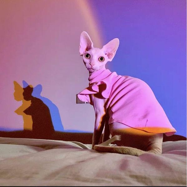 cat costumes sweet sphinx clothes velvet no hurt skin pullover hoodies for hair lotus sleeve bottom shirt skirt
cat costumes sweet sphinx clothes velvet no hurt skin pullover hoodies for hair lotus sleeve bottom shirt skirt