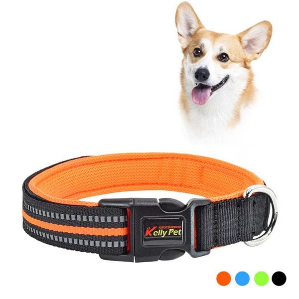 reflective dog collar puppy cat nylon collars with safety lock adjustable for small medium large big dogs & leashes
reflective dog collar puppy cat nylon collars with safety lock adjustable for small medium large big dogs & leashes