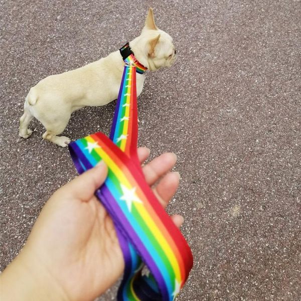 adjustable pet dog padded handle leashes and collars set puppy lead rope for large medium small dogs supplies &
adjustable pet dog padded handle leashes and collars set puppy lead rope for large medium small dogs supplies &