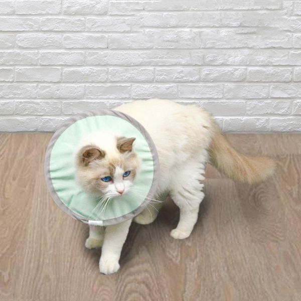 cat collars & leads cone recovery collar adjustable soft waterproof for cats puppies after protective
cat collars & leads cone recovery collar adjustable soft waterproof for cats puppies after protective