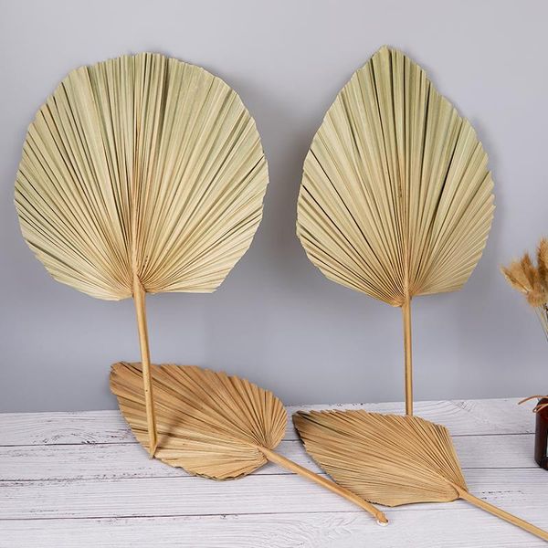 palm fan leaf dried flower window reception party art wall hanging decoration wedding arch arrangement other home decor
palm fan leaf dried flower window reception party art wall hanging decoration wedding arch arrangement other home decor