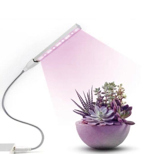 grow lights usb led light dc 5v fitolampy for plants red blue plant lamps full spectrum bulb phytolamp
grow lights usb led light dc 5v fitolampy for plants red blue plant lamps full spectrum bulb phytolamp