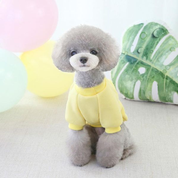 dog apparel pet sweater cute carrot decorative fabric soft comfortable warm durable winter clothes
dog apparel pet sweater cute carrot decorative fabric soft comfortable warm durable winter clothes