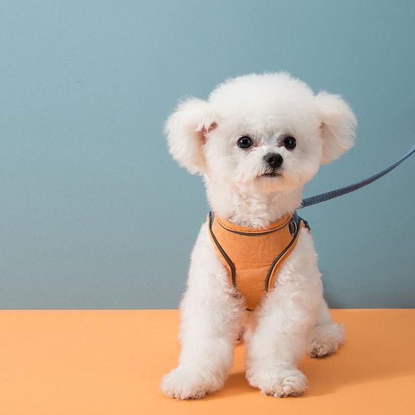 cat collars & leads pet harness reflective puppy adjustable dog chest strap collar suede material leash with traction rop accessorie
cat collars & leads pet harness reflective puppy adjustable dog chest strap collar suede material leash with traction rop accessorie