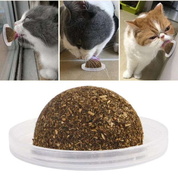 cat toys y toy catnip ball pet grass to hair wholesale natural wild supplies teeth cleaning
cat toys y toy catnip ball pet grass to hair wholesale natural wild supplies teeth cleaning