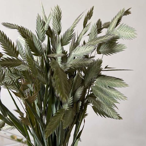 decorative flowers & wreaths about 20pcs/30~45cm long natural dried flower bouquet diamond grass,diy dry xiaopan grass for home decor,weddin
decorative flowers & wreaths about 20pcs/30~45cm long natural dried flower bouquet diamond grass,diy dry xiaopan grass for home decor,weddin
