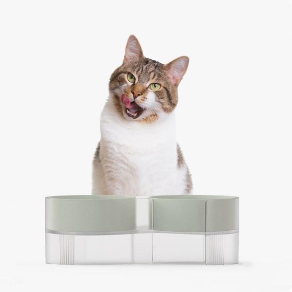 cat bowl double set with shelf tilt the water small dog bowls feeder accessories & feeders
cat bowl double set with shelf tilt the water small dog bowls feeder accessories & feeders