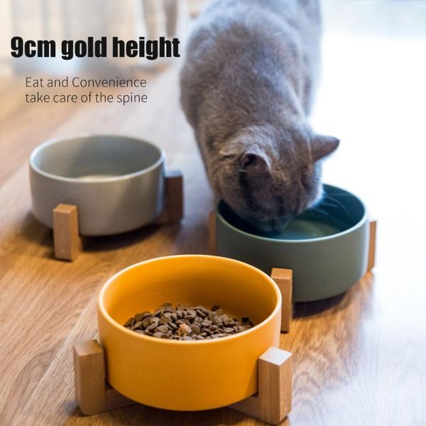 cat bowls & feeders ceramic elevated raised bowl with wood stand no spill pet water feeder cats small dogs feeding accessories
cat bowls & feeders ceramic elevated raised bowl with wood stand no spill pet water feeder cats small dogs feeding accessories