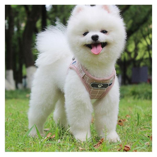 dog collars & leashes pet vest harness leash adjustable reflective mesh collar chest strap harnesses with traction rope