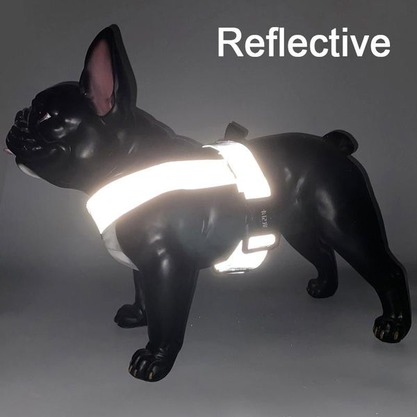 dog collars & leashes pet harness reflective comfortable breathable explosion-proof for large dogs vest outdoor camping supplies
dog collars & leashes pet harness reflective comfortable breathable explosion-proof for large dogs vest outdoor camping supplies